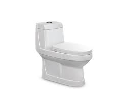 توالت فرنگی-بازرگانی110