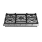 داتیس گاز DS - 590 استیل