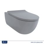 Anisa-gray-wall-hung-toilet-rosi