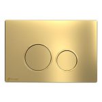 نیس-طلایی (1)