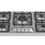 گاز-داتیس-DS518