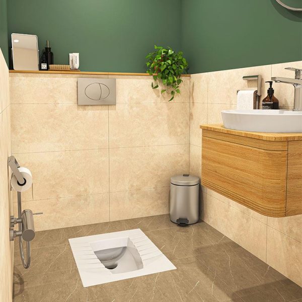 Avina-Asian-Toilet