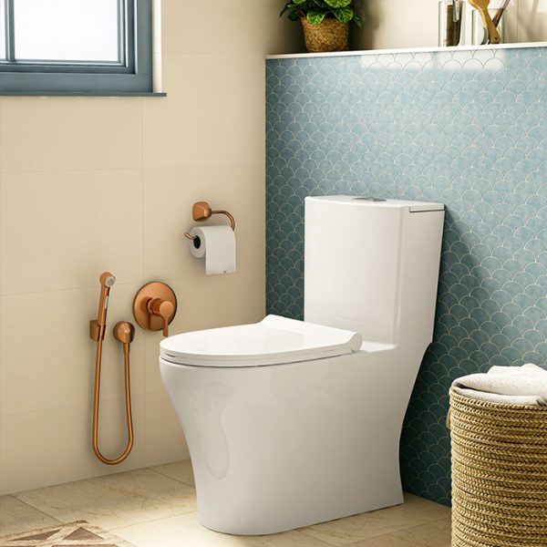 Consept-Monoblock-Toilet-design