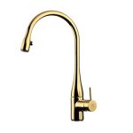 ظرفشویی-ایو-طلایی